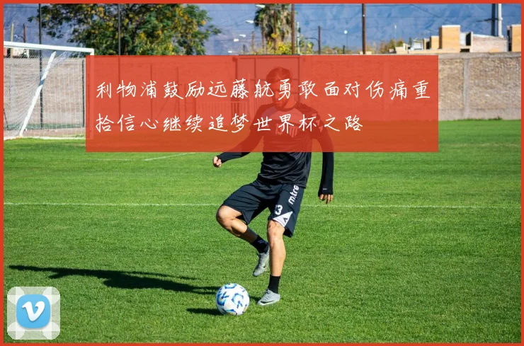 利物浦鼓励远藤航勇敢面对伤痛重拾信心继续追梦世界杯之路